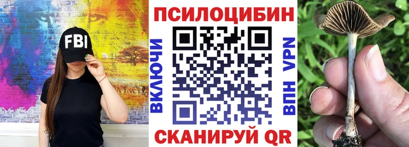 Псилоцибиновые грибы прущие грибы Злынка